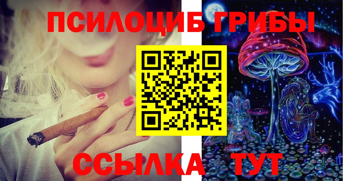 Псилоцибиновые грибы Psilocybe Ачхой-Мартан