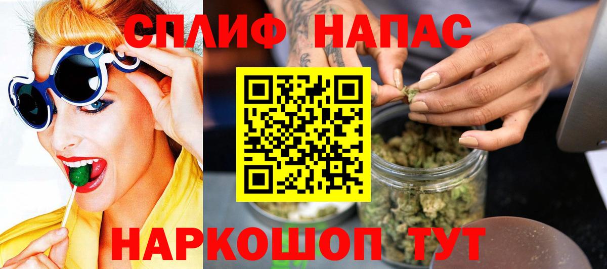 Канабис семена Ачхой-Мартан